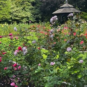 Meet your Posher, Lynda